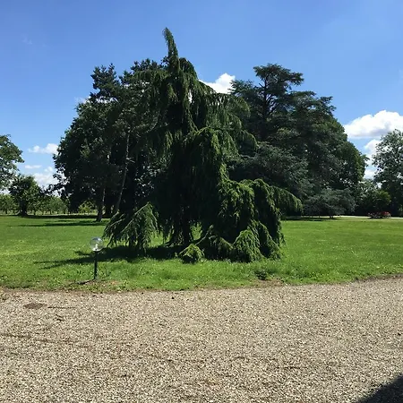 Partitore 4* Quartazzola